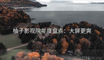 柚子影视院年度盘点：大屏更爽