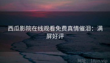 西瓜影院在线观看免费真情催泪：满屏好评