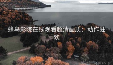 蜂鸟影院在线观看超清画质：动作狂欢