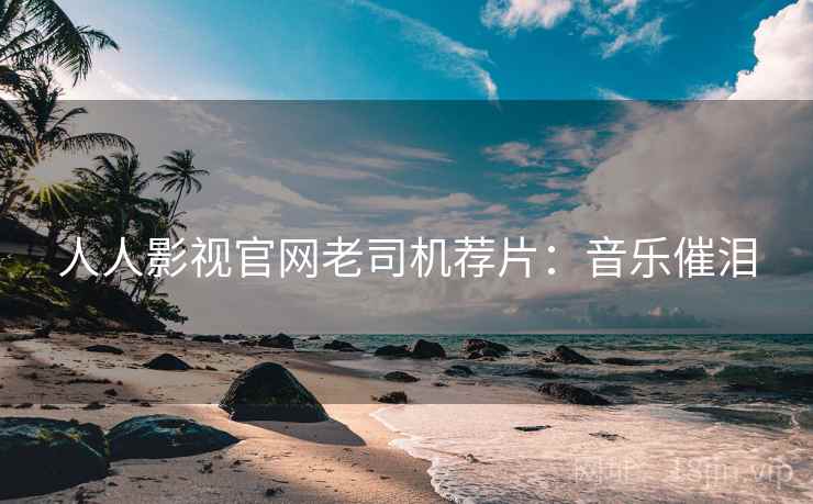 人人影视官网老司机荐片：音乐催泪