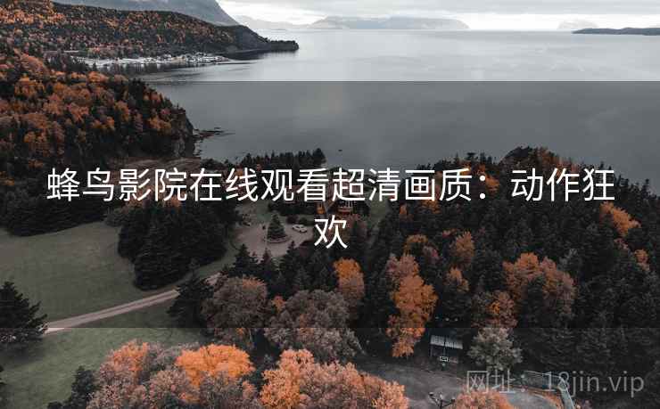 蜂鸟影院在线观看超清画质：动作狂欢