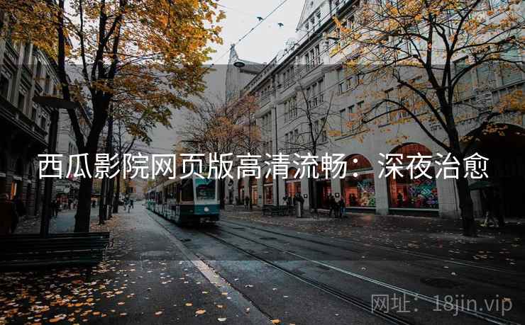 西瓜影院网页版高清流畅：深夜治愈