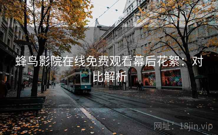 蜂鸟影院在线免费观看幕后花絮：对比解析